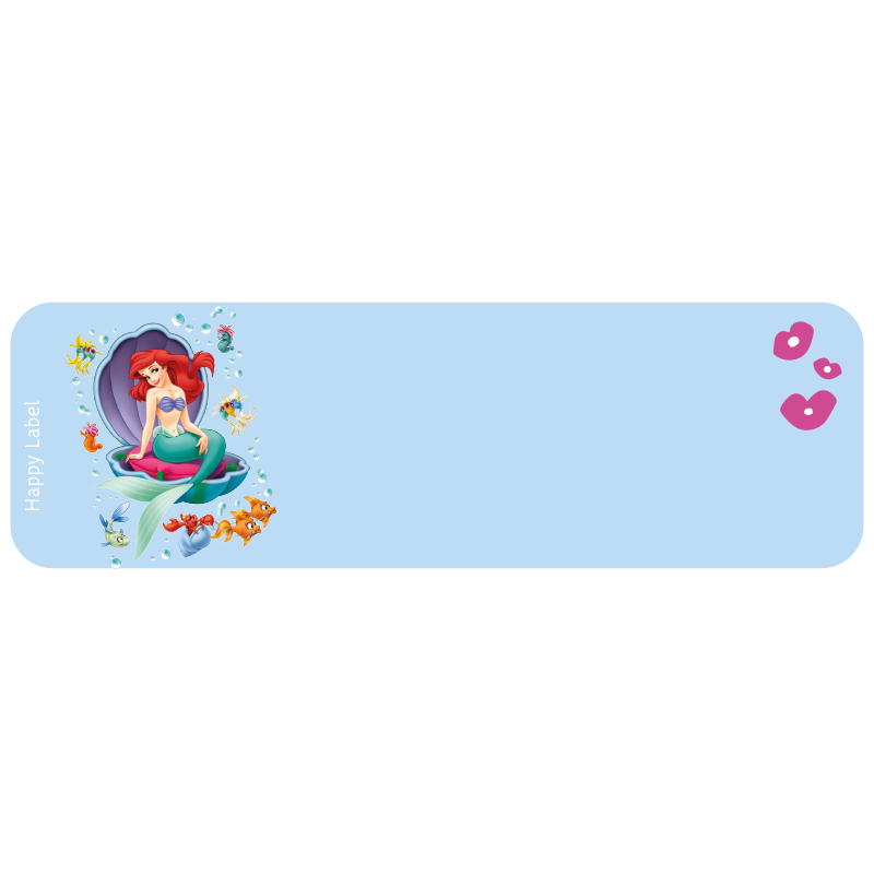 Étiquette Ariel format Ariel 4.png