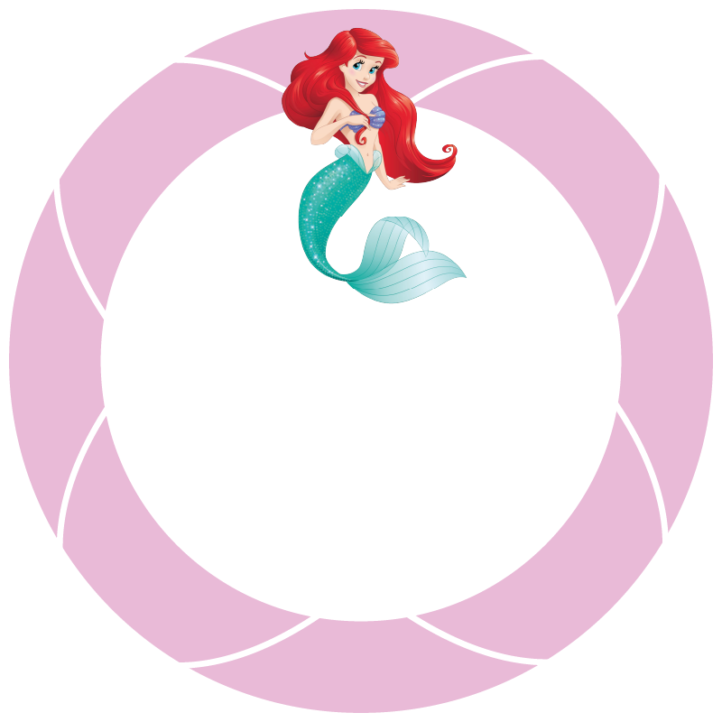 Étiquette Ariel format Ariel 5.png