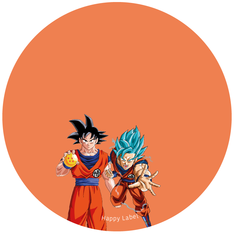 Étiquette DRAGON BALL Z format DRAGON BALL Z 6.png