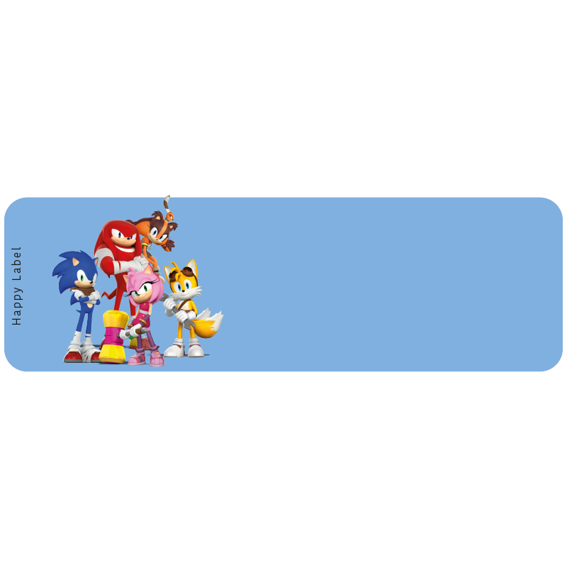 Étiquette Sonic Shadow format Sonic Shadow 4.png